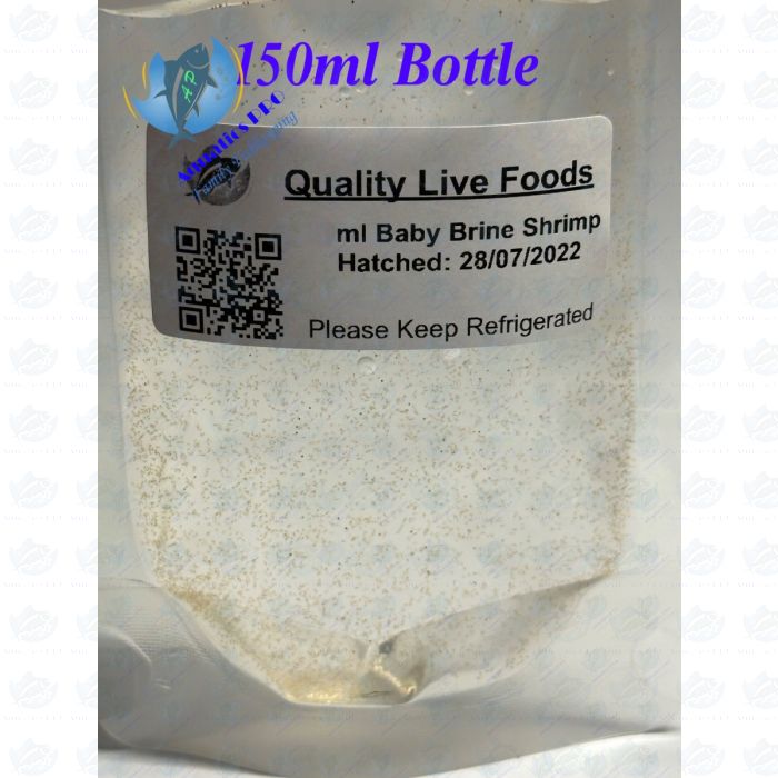 150ml Baby Brine Shrimp