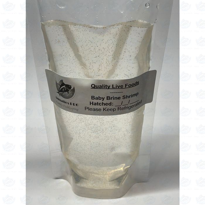 200ml Baby Brine Shrimp