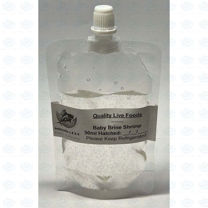 50ml Baby Brine Shrimp