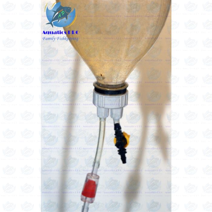 DIY Baby Brine Shrimp Hatching KIT With Bottle