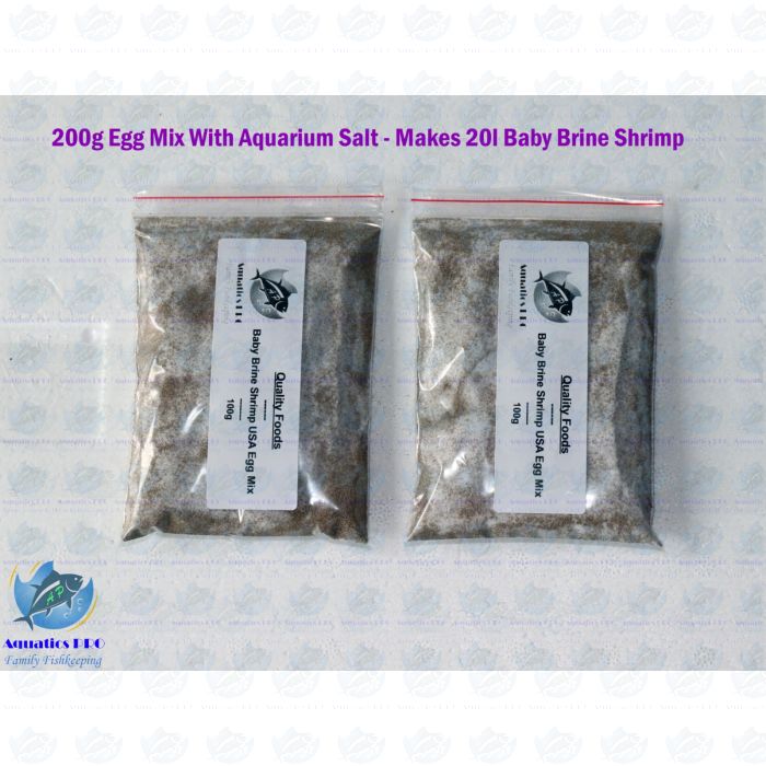 Baby brine shop shrimp eggs