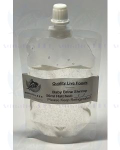 50ml Baby Brine Shrimp