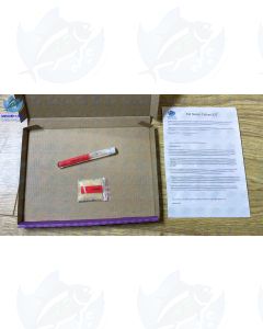 Vinegar Eel Turbatrix Aceti Starter Culture Fry Live Food KIT