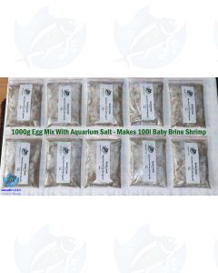 1000g (Makes 100 Litres) Baby Brine Shrimp Eggs