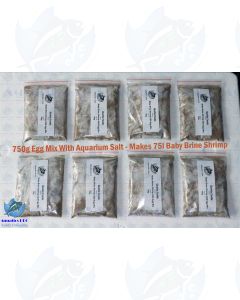 750g (Makes 75 Litres) Baby Brine Shrimp Eggs